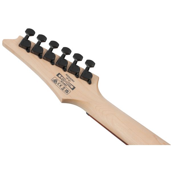 Ibanez RGA42AH-BKS